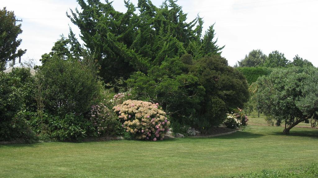 Bluebell Lodge And Cottage Hastings Quarto foto